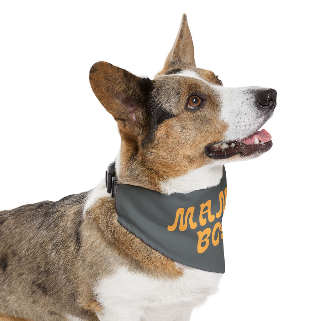 Mama's Boy Pet Bandana Collar – Cute Dog Bandana with Heart Paw Design