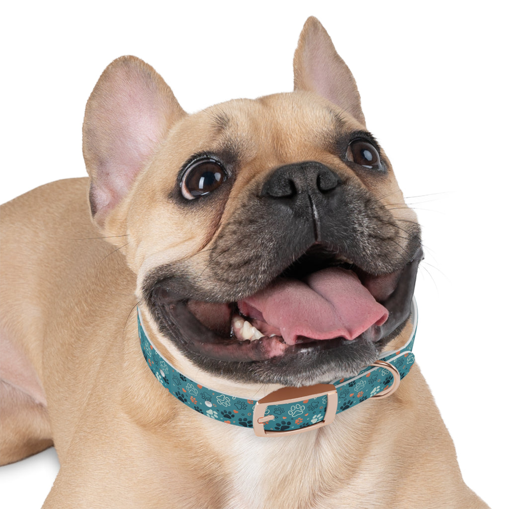 Paw Print Dog Collar — Teal Patterned Pet Collar for Small & Medium Dogs