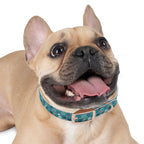 Paw Print Dog Collar — Teal Patterned Pet Collar for Small & Medium Dogs