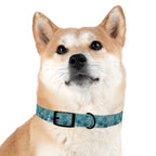 Paw Print Dog Collar — Teal Patterned Pet Collar for Small & Medium Dogs