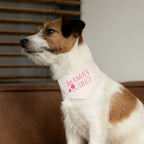 Mama’s Girl Pet Bandana Collar — Pink Floral Dog & Cat Accessory