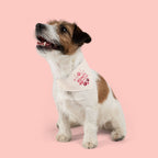 Mama's Healing Pet Bandana Collar — Pink Paw Print Dog & Cat Accessory