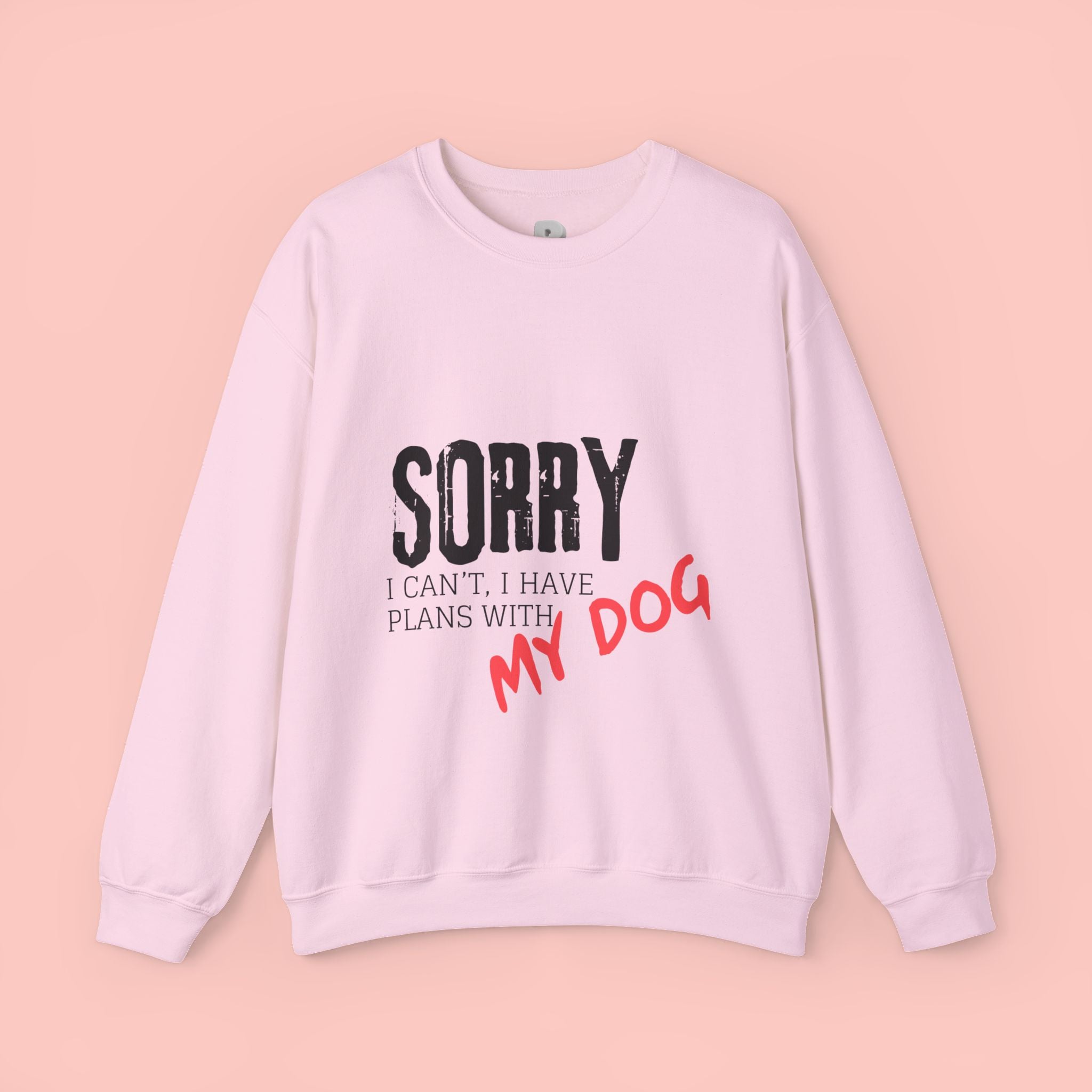 Sorry I Can't I Have Plans With My Dog Sweatshirt