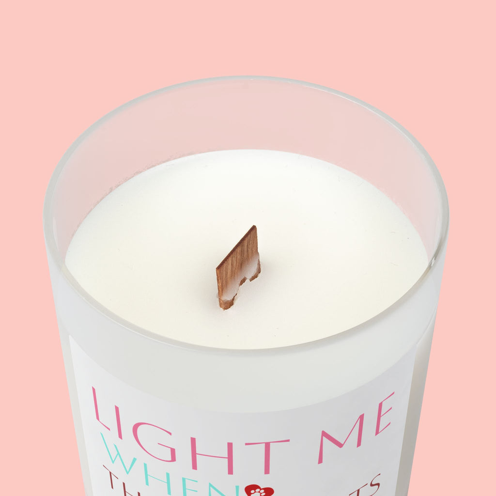 Frosted Glass Candle — “Light Me When the Dog Farts” Scented Candle, Funny Pet Gag Gift (11 oz)