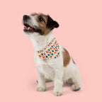 Floral Dot Pet Bandana Collar - Orange & Teal Flower Print