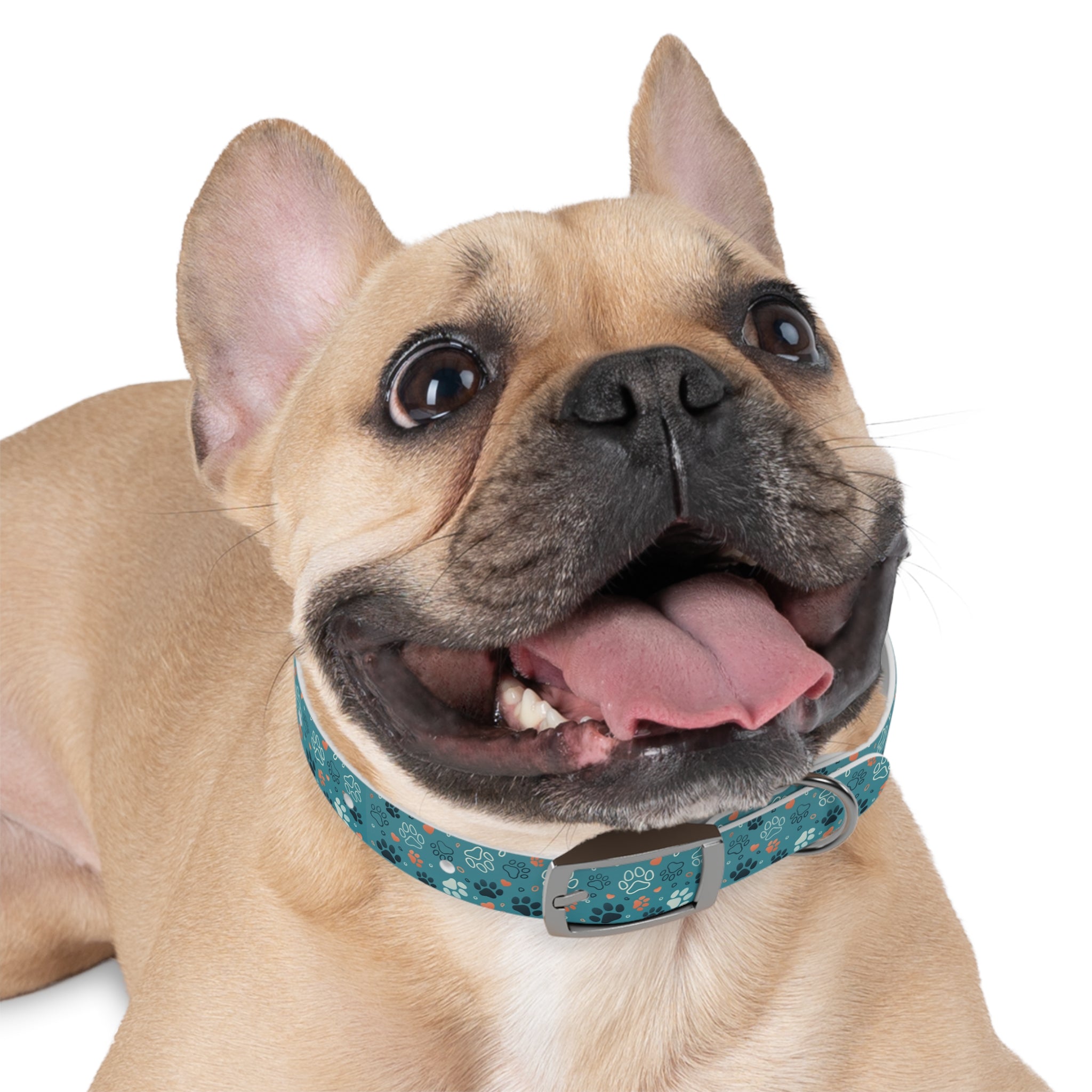 Paw Print Dog Collar — Teal Patterned Pet Collar for Small & Medium Dogs